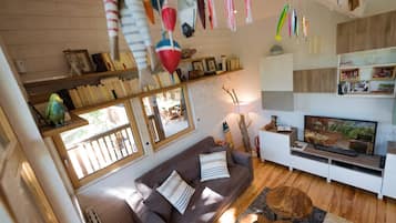TV, fireplace, books