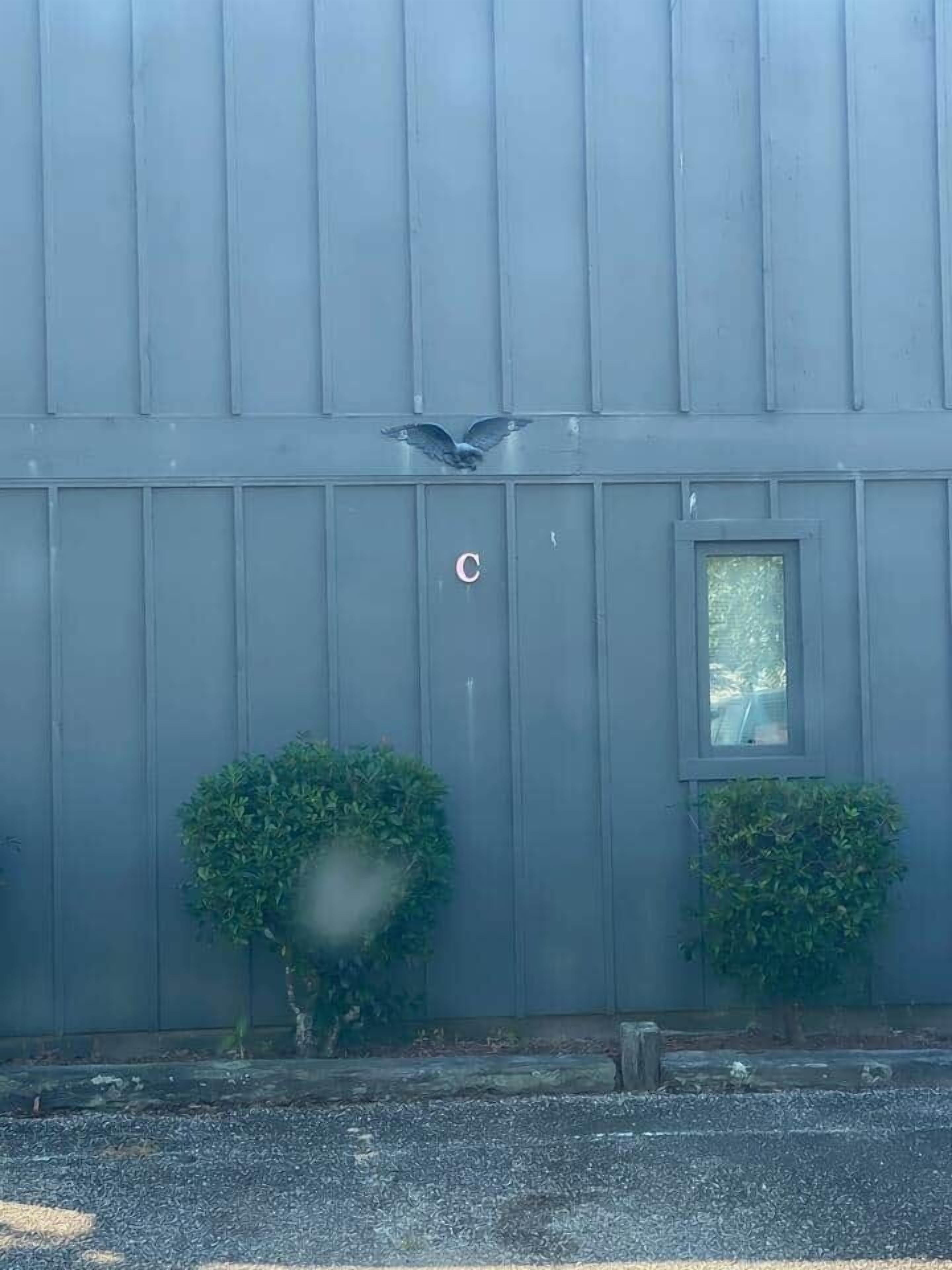 A building with a grey exterior, a small window, and two potted plants.