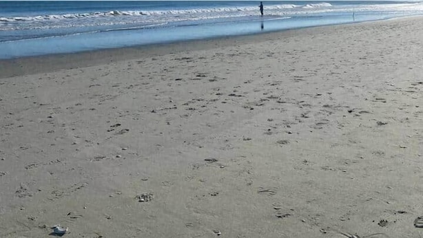 A beach with a clear sky and the sun shining. - Pink Flamingo-Pet-Friendly + Walk to Beach & Dining, Fenced courtyard (North Myrtle Beach)