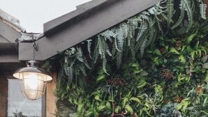 A wooden hot tub with a wall of lush green plants behind it.
