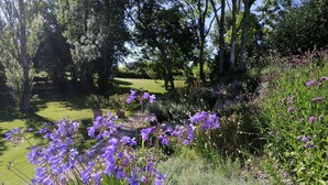 Ein Garten mit verschiedenen Pflanzen und Blumen, darunter violette Schwertlilien, und eine Rasenfläche mit Bäumen im Hintergrund.