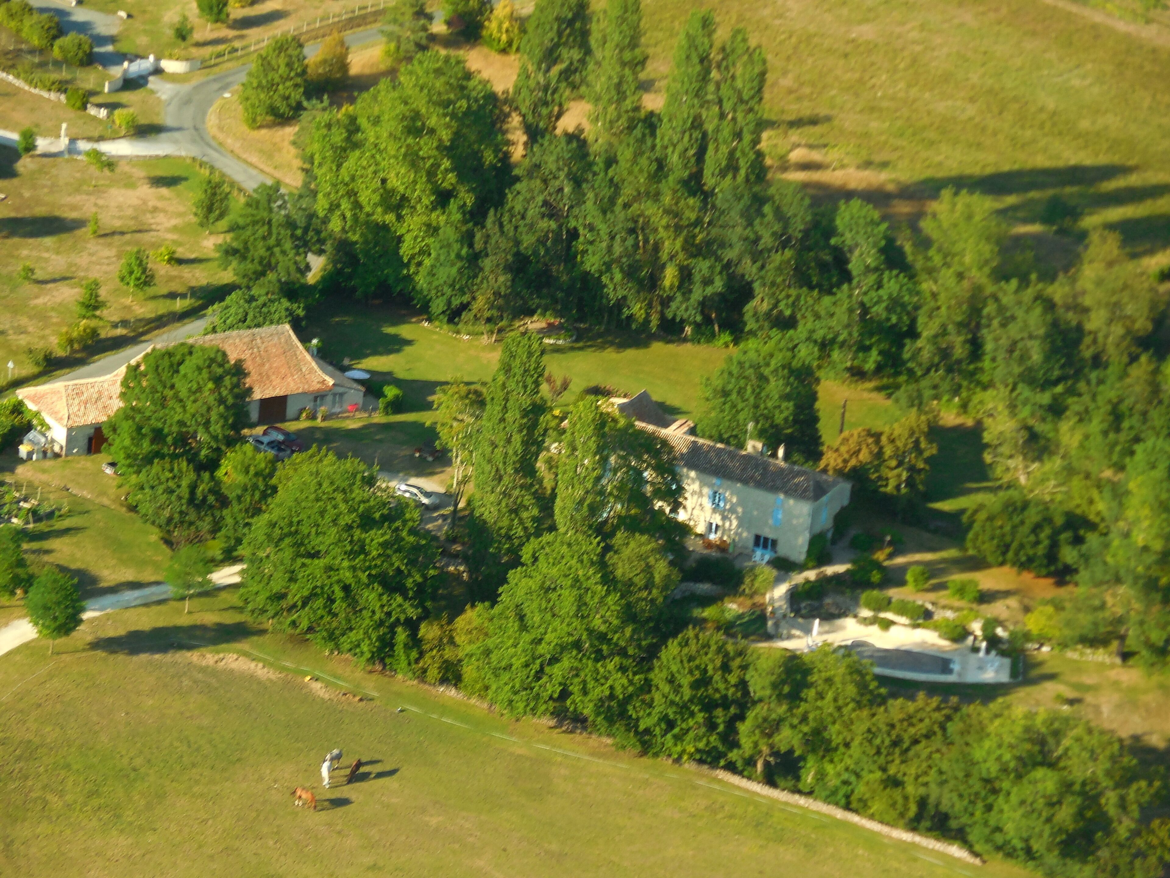 An aerial view of a rural area with houses surrounded by trees, a road, and a field.