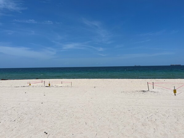 En la playa, camastros y toallas de playa 