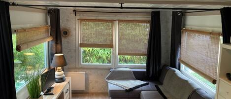 Télévision, baby-foot, table de tennis de table, livres