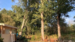 Ein rustikaler Sitzbereich im Freien mit Holztischen und -stühlen, umgeben von Bäumen und einer kleinen überdachten Struktur mit Tisch und Stühlen darin.
