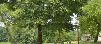 Bellissimo appartamento immerso nel verde a due passi dalle montagne