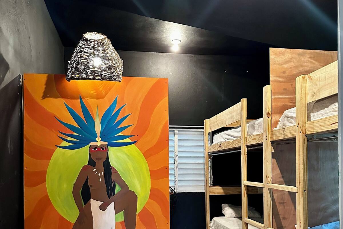 A room with a bunk bed, a painting on the wall, and a ceiling light.