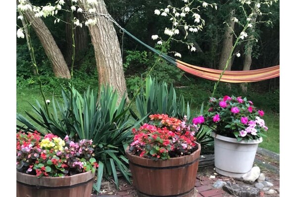 Relax in a serene garden setting surrounded by lush greenery and mature trees.