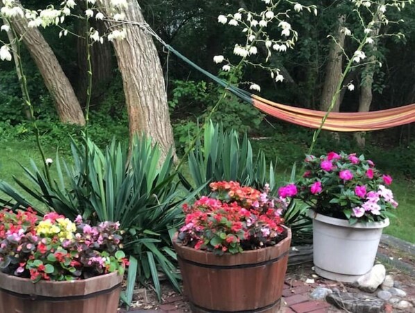 Property grounds - Brewster Cape Cod lakefront/private beach (Brewster)