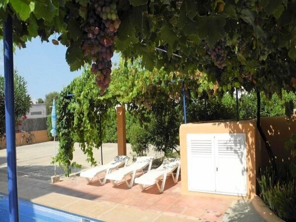 Terrace/patio - Timon Apartamentos (Formentera)