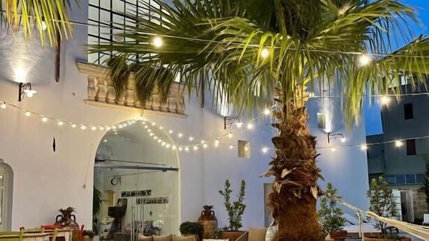 Un patio con palmera, luces colgantes y mobiliario para exterior.
