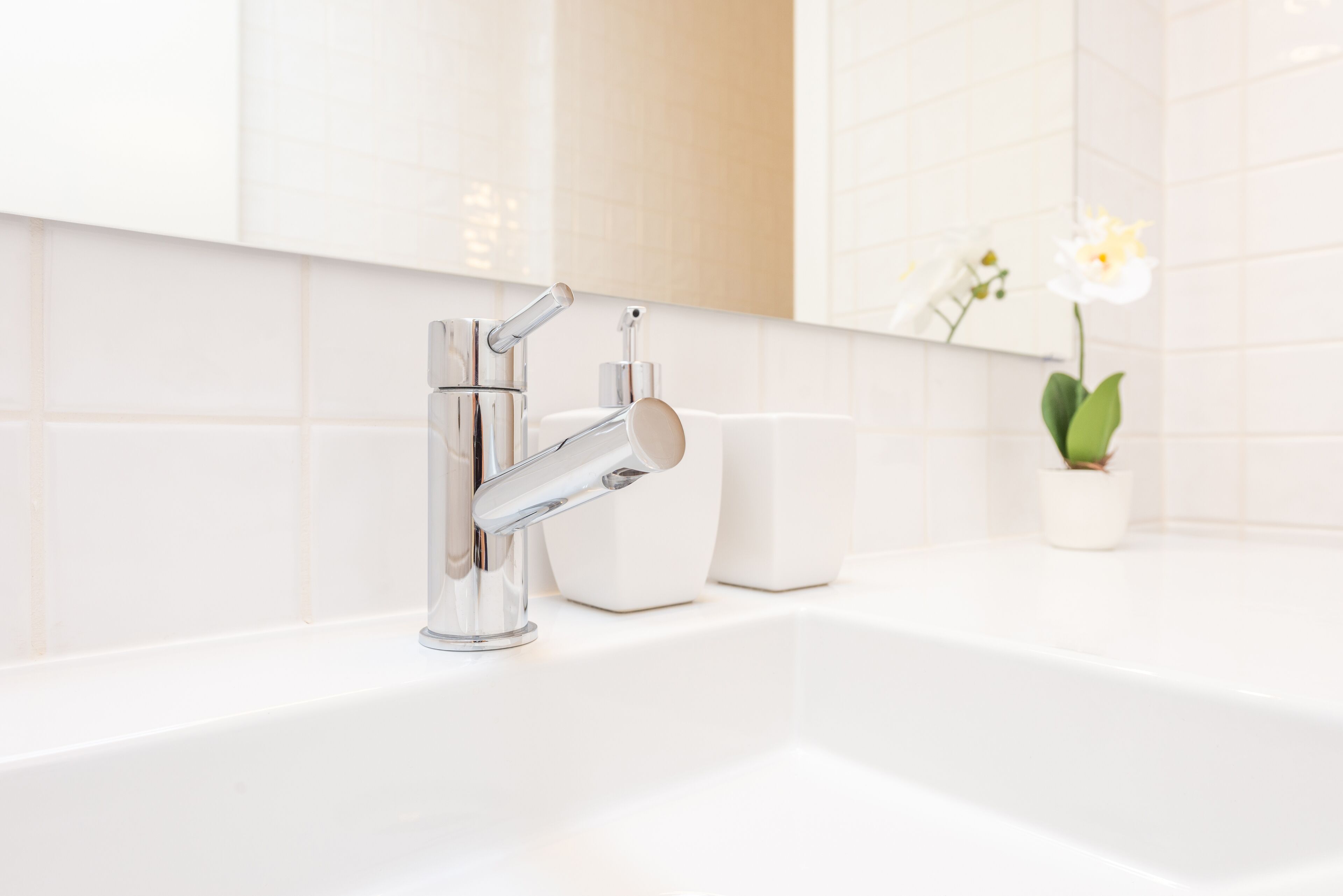 Ein modernes Badezimmer mit chromfarbenem Wasserhahn, einem weißen Waschbecken und einer Topfpflanze.