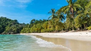 A beach with clear turquoise water, white sand, and palm trees.