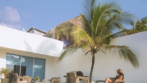 A modern outdoor seating area with wicker furniture, a palm tree, and a large window overlooking the pool. - HOTEL SUNSET BEACH (Cartagena)