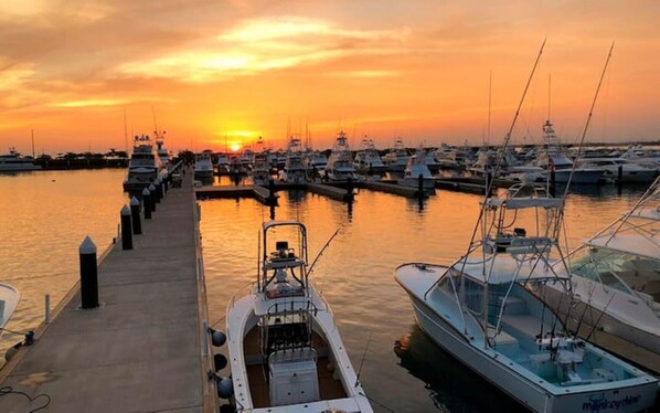 Marina