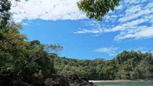 Una playa con afloramientos rocosos y un bosque denso al fondo.