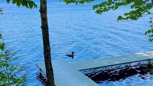 A dock extending into a calm lake surrounded by trees.