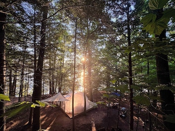 Be surrounded by Nature in the Hammock Haven Dome.