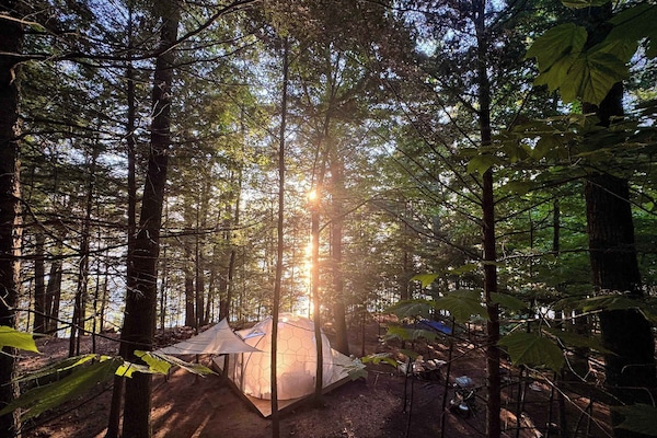 Hammock Haven Dome. Nature included.