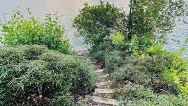 A wooden pathway leading to a body of water, surrounded by dense greenery. - Glamping Lakefront Island Retreat w/ Kayak & Pet-Friendly (Monmouth)