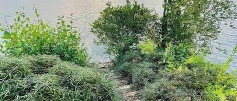 Overnatningsstedets område