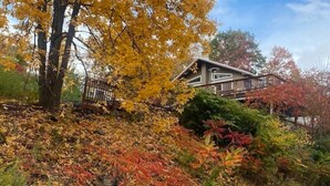 A house surrounded by autumn foliage.