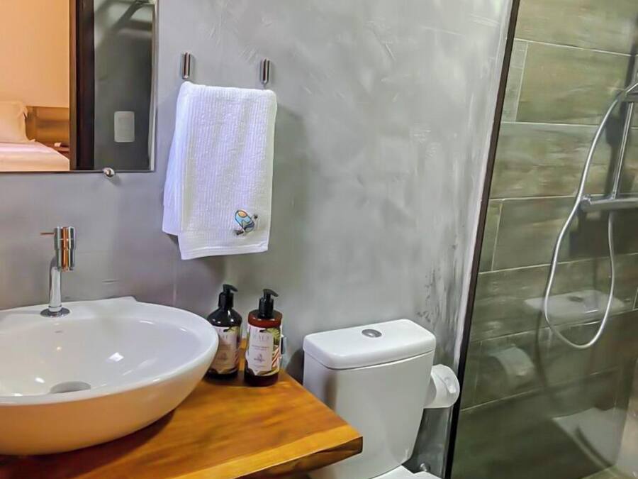 Un baño con un lavamanos grande, inodoro y ducha.
