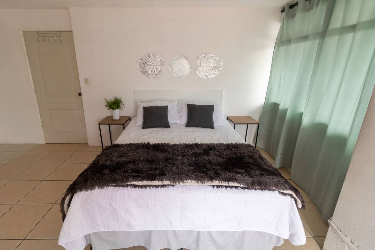 A neatly made bed with a white and dark brown blanket, a small bedside plant, and decorative wall art.