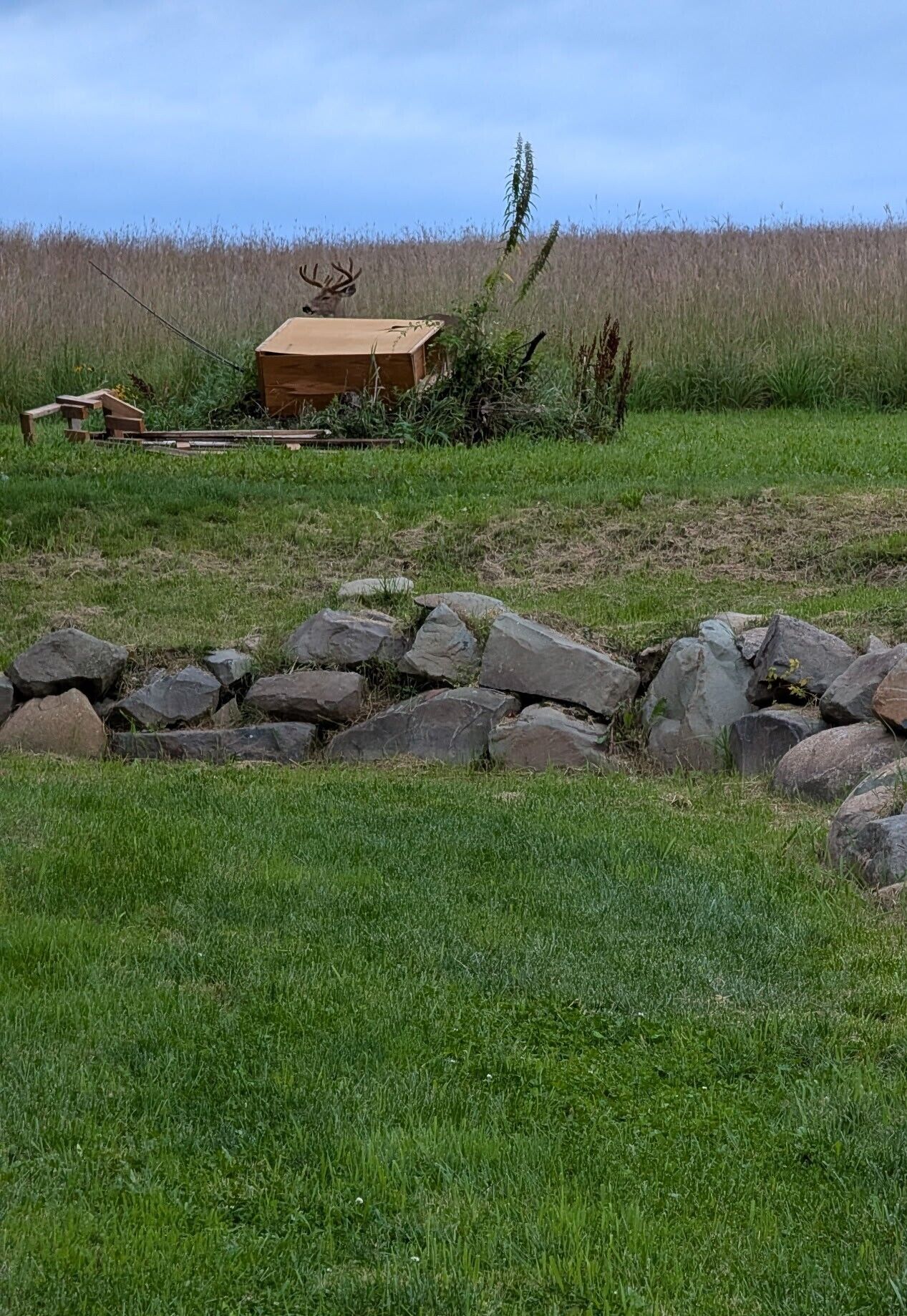 A rustic outdoor setting with a wooden structure, possibly a shed, surrounded by a stone wall and a grassy field.