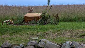 A rustic outdoor setting with a wooden structure, possibly a shed, surrounded by a stone wall and a grassy field.