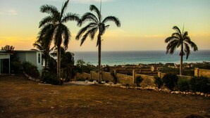 Eine Küstenlandschaft mit Palmen, Blick aufs Meer und einem Gebäude mit Garage.