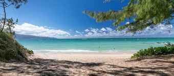 Unit 4 Maui Ohana Modern Studio