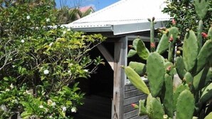 A garden with a cactus, a wooden structure, and a clear blue sky. - Charming bungalow, 200m from the beach, quiet, surrounded by greenery (SAINTE ANNE)