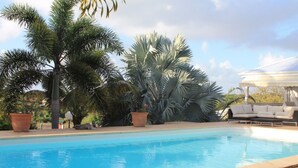 A swimming pool with palm trees and a covered seating area. - Charming bungalow, 200m from the beach, quiet, surrounded by greenery (SAINTE ANNE)