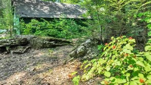 A rustic cabin surrounded by dense forest. - Cozy Poconos Cabin in the Pines | Firepit & Pickle (Barrett Township)