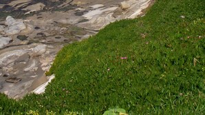 Ett kustlandskap med ett bergigt område, en gräsklädd förgrund och en strand i bakgrunden.