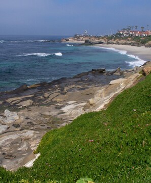 On the beach - Laguna Surf (Laguna Beach)
