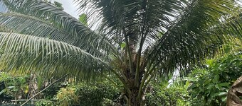 A nice little bnb on a mountain just outside Ocho Rios