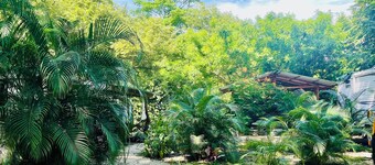 Lovely rental unit in Nosara, steps from the beach