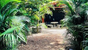 Unclassified image, 5 of 14, button - Lovely rental unit in Nosara, steps from the beach (Nosara)