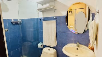 Shower, towels, soap, toilet paper