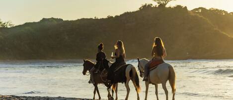 A beach with people riding horses.