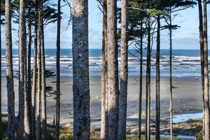 Una spiaggia nelle vicinanze