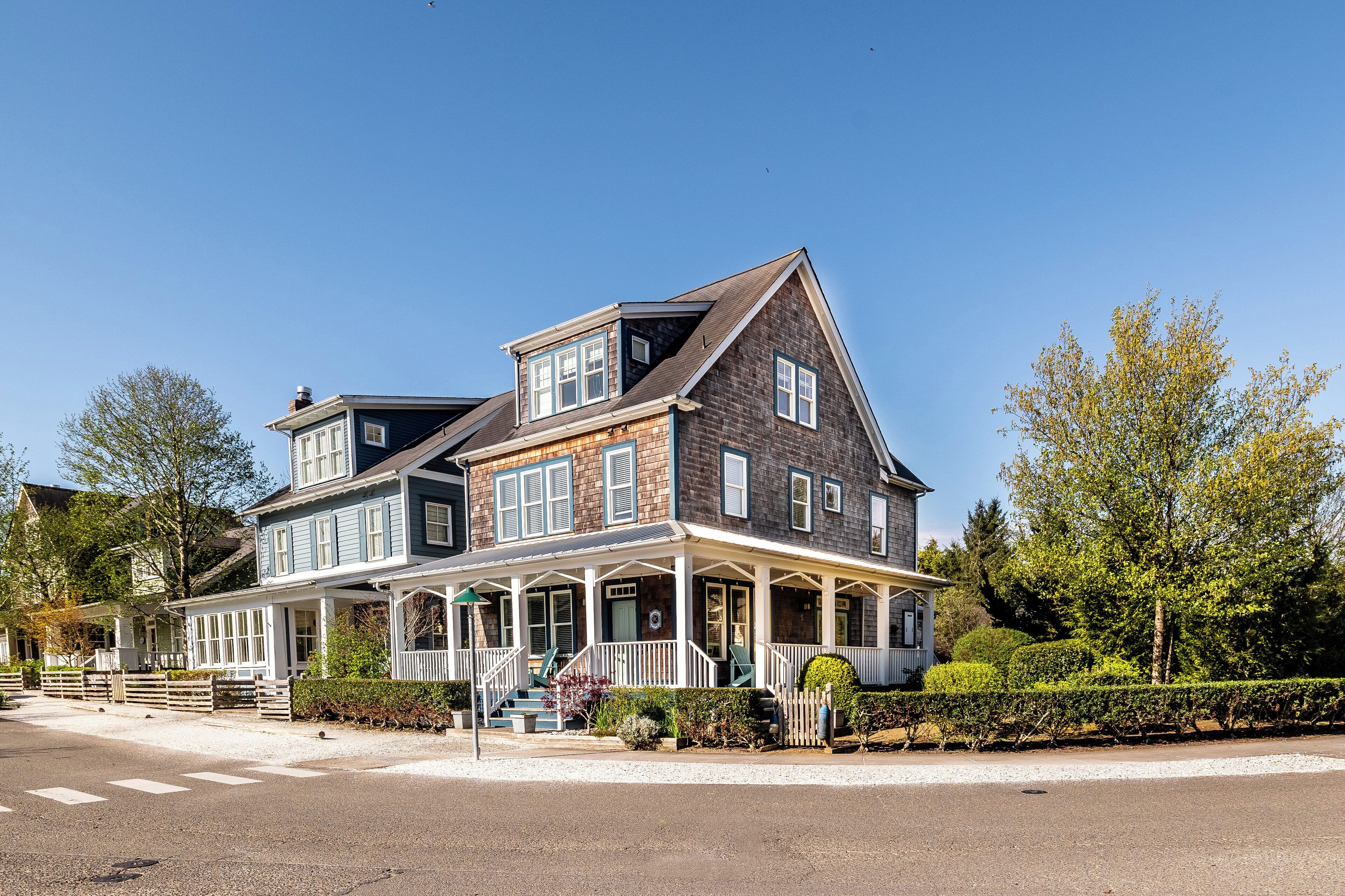 *NEW* Seabrook's Oceans Five: Dog Friendly!