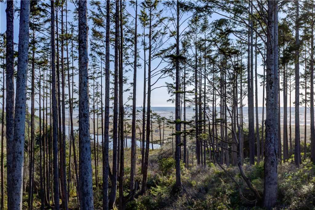 *NEW* Seabrook's Spindrift, a premier oceanside home!
