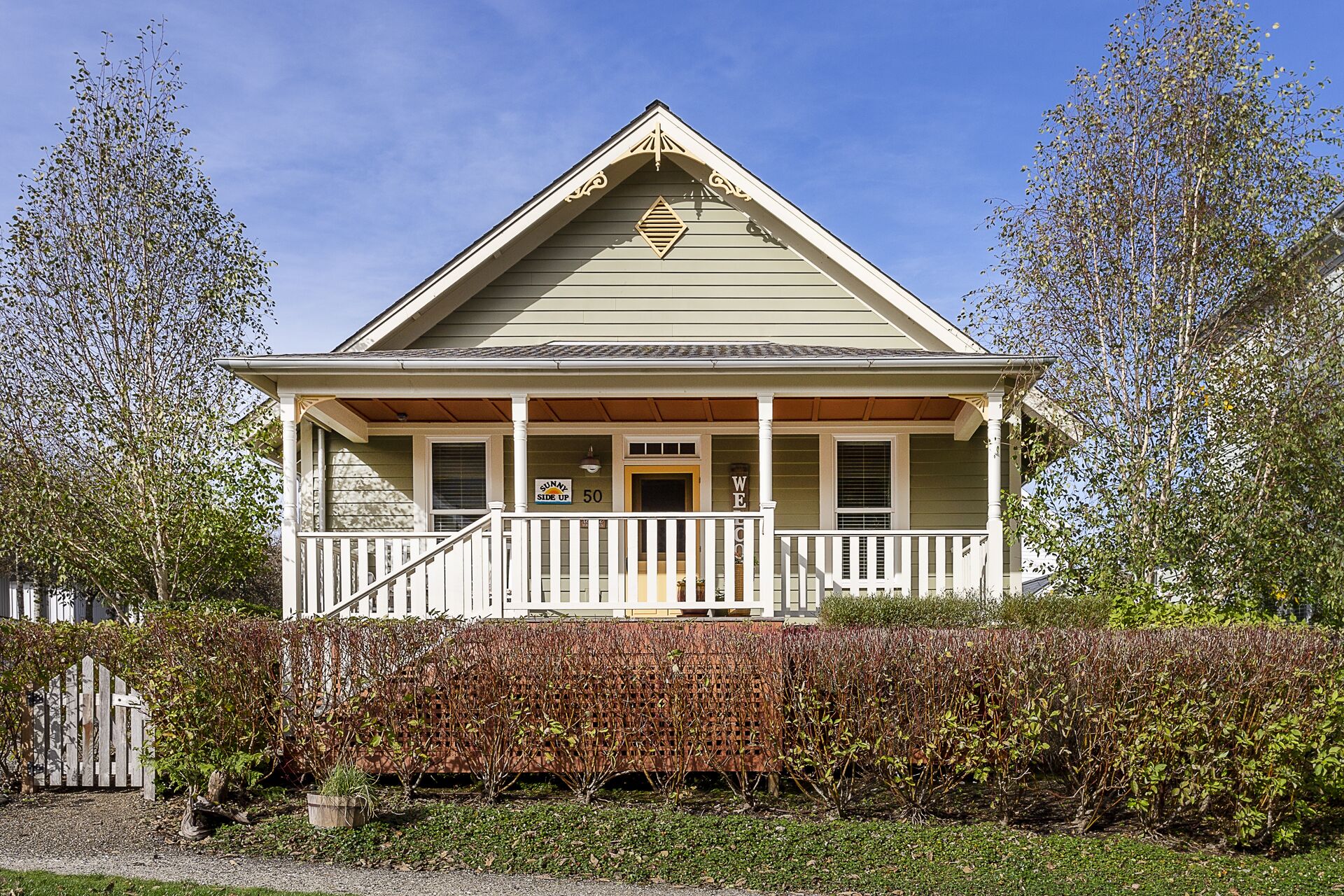Seabrook's Sunny Side Up: Dog Friendly!
