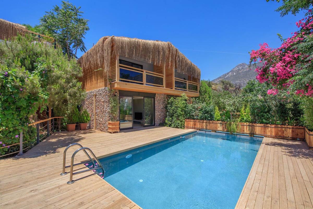 A modern house with a thatched roof, a swimming pool, and lush greenery.