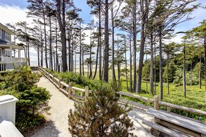 Property grounds - *New* Seabrook's Togadera: Luxury ocean front home! (Pacific Beach)