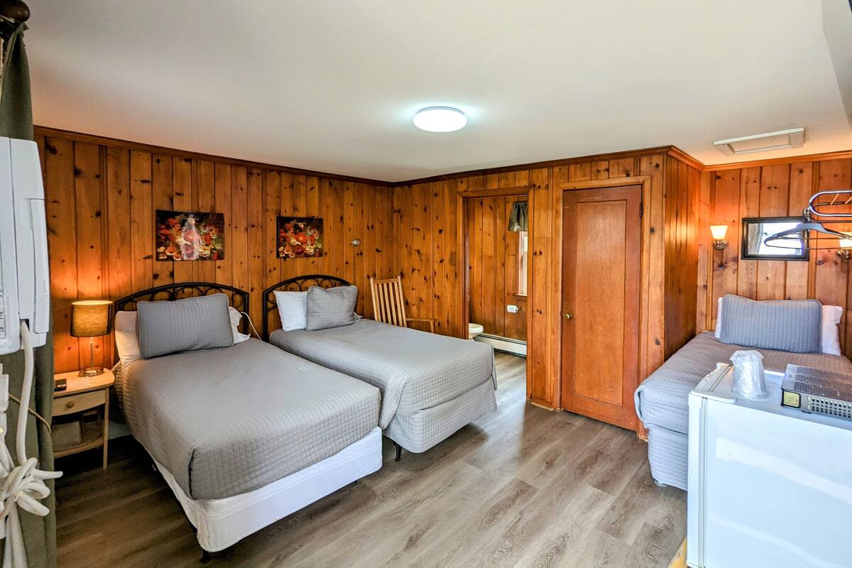 A room with two beds, wooden walls, a ceiling light, a chair, a small table, and a refrigerator.