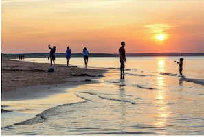 مناشف للشاطئ